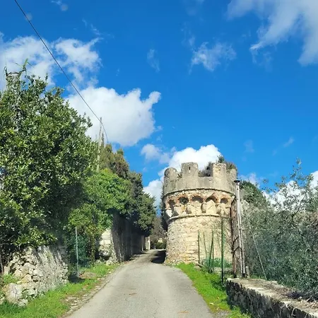 Olimpia * Sesto Fiorentino