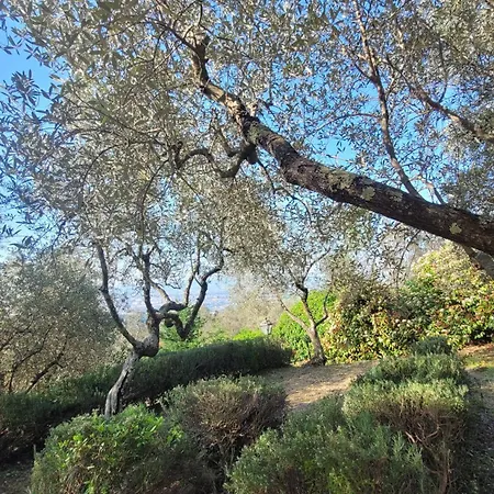 Villa Olimpia Sesto Fiorentino