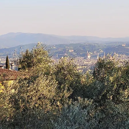 Olimpia Sesto Fiorentino