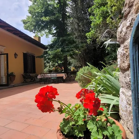 Olimpia Villa Sesto Fiorentino